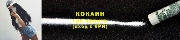 дмт Магас