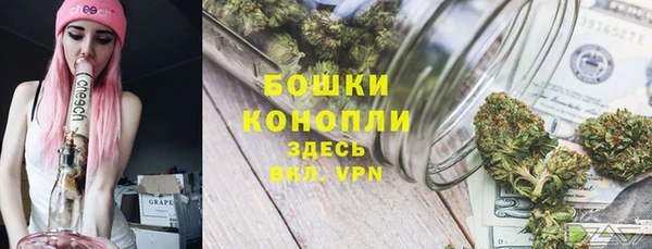 дмт Магас