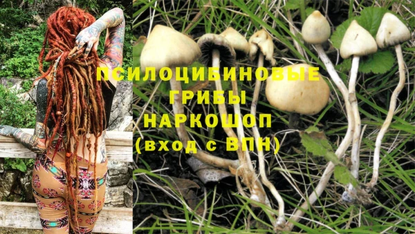 apvp Медвежьегорск
