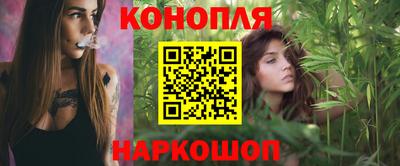 индика Беслан