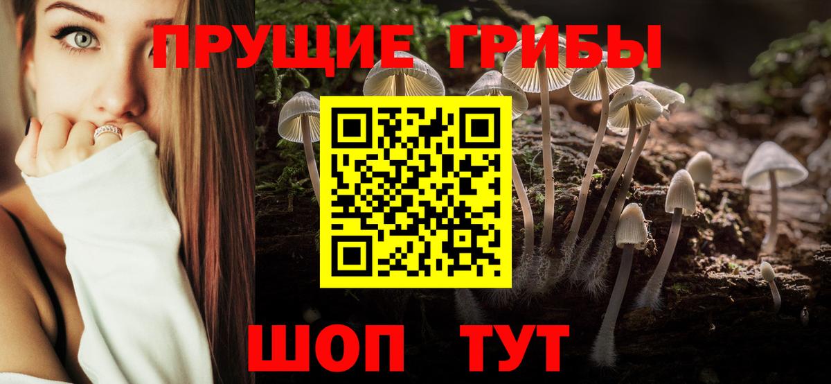 Нарткала  Псилоцибиновые грибы прущие грибы  где продают наркотики  Псилоцибиновые грибы мухоморы  Вход с VPN 