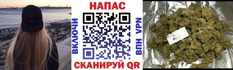 Шишки марихуана OG Kush  купить  цена  Нарткала 